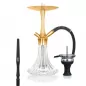 Mobile Preview: Aladin Shisha MVP A36 - gold clear